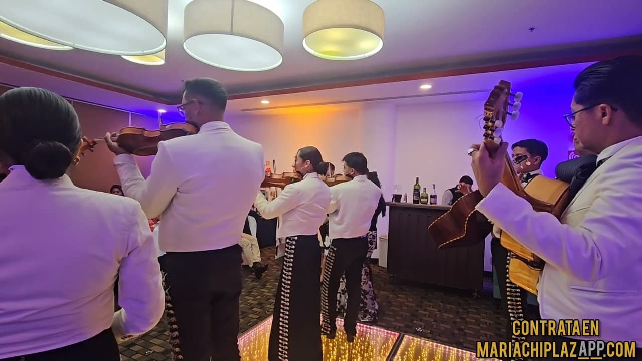 Video 3 de Mariachi Toreros