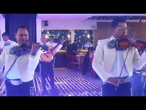 Video de Mariachi Sonidos